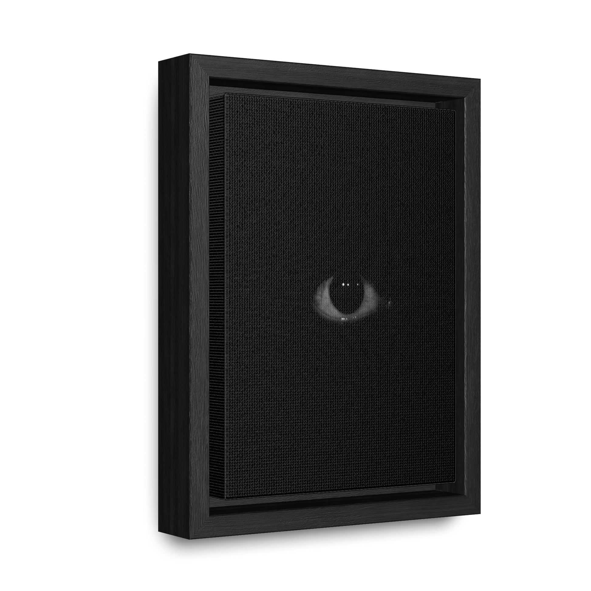 Gallery Canvas Wraps, Vertical Frame